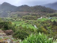 P, Viana do Castelo, Acros de Valdevez, Gavieira 1, Saxifraga-Kees Marijnissen