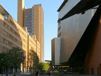 D, Berlin, Berlin, Potsdamer Platz 4, Saxifraga-Tom Heijnen