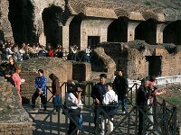 I, Città Metropolitana di Roma Capitale, Roma 12, Saxifraga-Jan van der Straaten