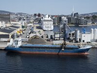 N, Oslo, Oslo 8, Saxifraga-Willem van Kruijsbergen