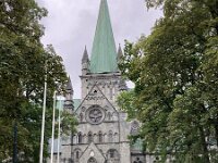 N, Trondelag, Trondheim 2, Saxifraga-Willem van Kruijsbergen