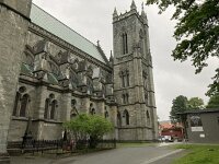 N, Trondelag, Trondheim 3, Saxifraga-Willem van Kruijsbergen