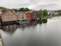 N, Trondelag, Trondheim 8, Saxifraga-Willem van Kruijsbergen