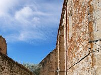 E, Caceres, Trujillo 14, Saxifraga-Tom Heijnen