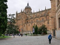 E, Salamanca, Salamanca 14, Saxifraga-Tom Heijnen