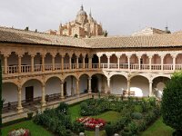 E, Salamanca, Salamanca 16, Saxifraga-Tom Heijnen