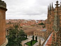 E, Salamanca, Salamanca 7, Saxifraga-Tom Heijnen