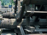 H, Szabolcs–Szatmár–Bereg, Turistvandi 5, Saxifraga-Jan van der Straaten