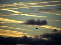 NL, Noord-Holland, Contrails, Texel 108, Saxifraga-Foto Fitis-Sytske Dijksen
