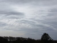 NL, Noord-Holland, Texel, Altocumulus undulatus, Ruige Hoek 5, Saxifraga-Foto Fitis-Sytske Dijksen