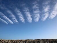 NL, Noord-Holland, Texel, Cloud street, Paal 76, Saxifraga-Foto Fitis-Sytske Dijksen