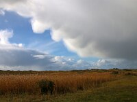 NL, Noord-Holland, Texel, Mammatusclouds, De Hors 6, Saxifraga-Foto Fitis-Sytske Dijksen