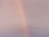 NL, Noord-Holland, Texel, Rainbow, Rommelpot 20, Saxifraga-Foto Fitis-Sytske Dijksen