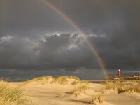 NL, Noord-Holland, Texel, Vuurtoren 11, Saxifraga-Foto Fitis-Sytske Dijksen