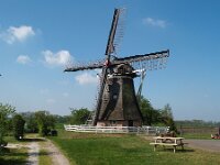 NL, Friesland, Sudwest-Fryslan, Makkum 10, Saxifraga-Hans Dekker