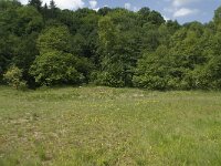 B, Liege, Kelmis 10, Saxifraga-Willem van Kruijsbergen