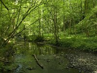 B, Liege, Kelmis 16, Saxifraga-Willem van Kruijsbergen