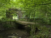 B, Liege, Kelmis 18, Saxifraga-Willem van Kruijsbergen