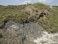 B, Liege, Kelmis 19, Saxifraga-Willem van Kruijsbergen