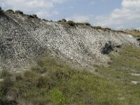 B, Liege, Kelmis 20, Saxifraga-Willem van Kruijsbergen