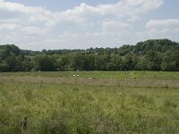 B, Liege, Kelmis 3, Saxifraga-Willem van Kruijsbergen