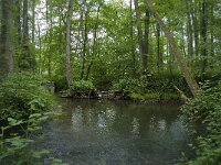 B, Liege, Kelmis 4, Saxifraga-Willem van Kruijsbergen