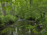 B, Liege, Kelmis 6, Saxifraga-Willem van Kruijsbergen