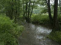 B, Liege, Kelmis, Hohn 11, Saxifraga-Willem van Kruijsbergen