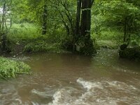 B, Liege, Kelmis, Hohn 12, Saxifraga-Willem van Kruijsbergen