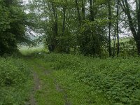 B, Liege, Kelmis, Hohn 14, Saxifraga-Willem van Kruijsbergen