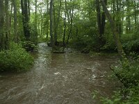 B, Liege, Kelmis, Hohn 4, Saxifraga-Willem van Kruijsbergen