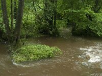 B, Liege, Kelmis, Hohn 6, Saxifraga-Willem van Kruijsbergen