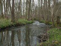 B, Liege, Kelmis, Hohn 7, Saxifraga-Willem van Kruijsbergen