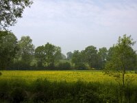 B, Liege, Kelmis, Vallee de la Gueule 2, Saxifraga-Bart Vastenhouw