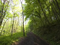 B, Liege, Kelmis, Vallee de la Gueule 3, Saxifraga-Bart Vastenhouw