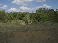 B, Liege, Plombieres 27, Saxifraga-Willem van Kruijsbergen