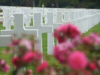 F, Calvados, Colleville-sur-Mer, Cimetiere Americain de Normandie. 2, Saxifraga-Foto Fitis-Sytske Dijksen