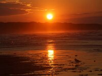 F, Calvados, Saint-Laurent-sur-Mer, Omaha Beach 5, Saxifraga-Foto Fitis-Sytske Dijksen