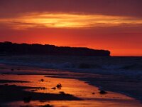 F, Calvados, Saint-Laurent-sur-Mer, Omaha Beach 6, Saxifraga-Foto Fitis-Sytske Dijksen