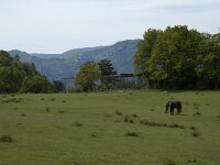 F, Drome, Chamaloc 5, Saxifraga-Marijke Verhagen