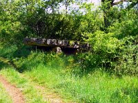 F, Gard, Concoules 2, Saxifraga-Hans Grotenhuis