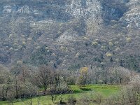 F, Isere, Le Gua, St Barthelemy 1, Saxifraga-Jan van der Straaten