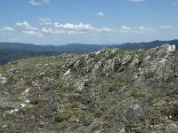 F, Lozere, Le Pompidou 22, Saxifraga-Willem van Kruijsbergen