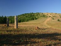 F, Lozere, Les Bondons 54, Saxifraga-Dirk Hilbers