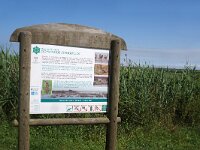 F, Manche, Sainte-Marie-du Mont, Domaine de Beauguillot 4, Saxifraga-Foto Fitis-Sytske Dijksen