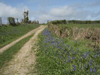 F, Nievre, Brassy, Montour 32, Saxifraga-Willem van Kruijsbergen