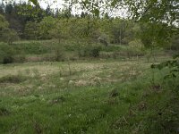 F, Nievre, Brassy, Montour 51, Saxifraga-Willem van Kruijsbergen