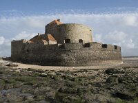 F, Pas-de-Calais, Ambleteuse 57, Saxifraga-Willem van Kruijsbergen