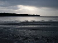 F, Pas-de-Calais, Audinghen, Cap Gris Nez 18, Saxifraga-Foto Fitis-Sytske Dijksen