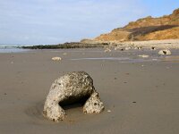 F, Pas-de-Calais, Escalles, Cap Blanc Nez 22, Saxifraga-Foto Fitis-Sytske Dijksen